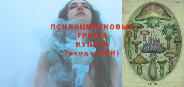 прущая мука Надым