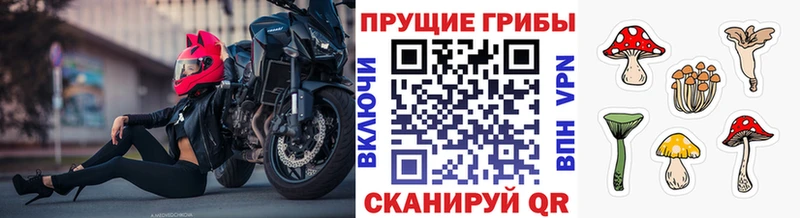 Псилоцибиновые грибы MAGIC MUSHROOMS  Никольск 