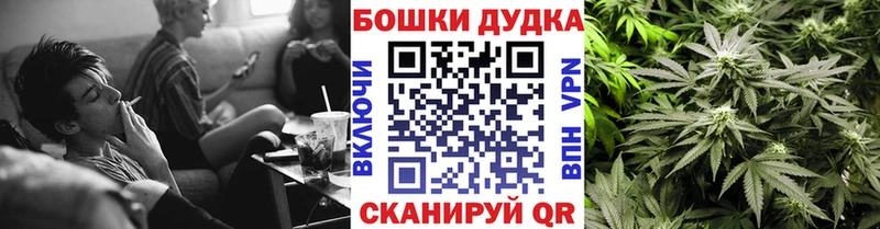 OMG онион  Никольск  Канабис индика  наркота 
