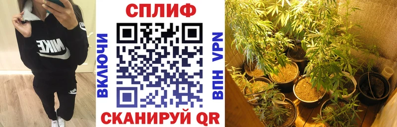 Шишки марихуана Amnesia Никольск
